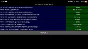 PyClip показал перебои на холостом. Нужно убрать лишний МС 2000 с заслонки.