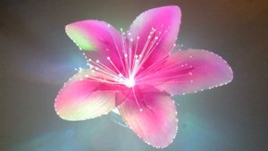 Волшебство света, светящийся цветок