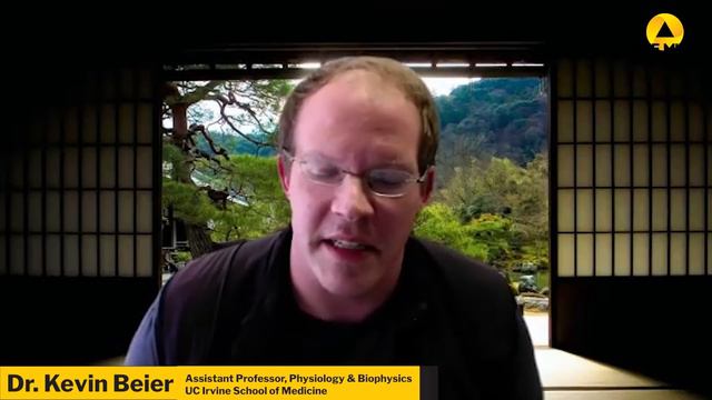 New Research and Therapies for Depression | Brain Waves смотреть онлайн