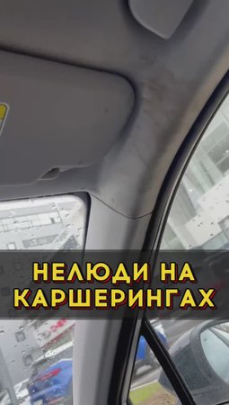 Хрюшки и каршеринг 🤦♂️ #автоподборспб #автоизевропы #автоподбормосква