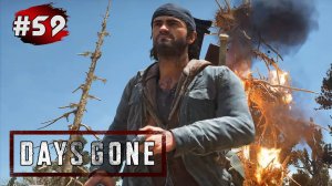 DAYS GONE (Жизнь После) ➤ Прохождение # 59 ➤ Путь До Лагеря - Лост Лейк