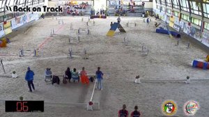 1 2018 World Agility Championship Егорова гемблерз