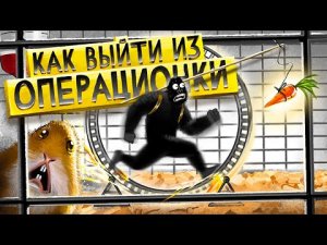 Как выйти из операционки Твой план действий.