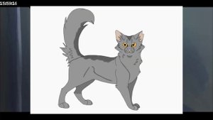 Топ 5 любимых персонажей 1 цикла! (Моё мнение) Коты Воители.