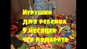 Игрушки для ребенка 9 месяцев / что подарить