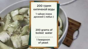 Как посадить и вырастить грибы шампиньоны дома на подоконнике