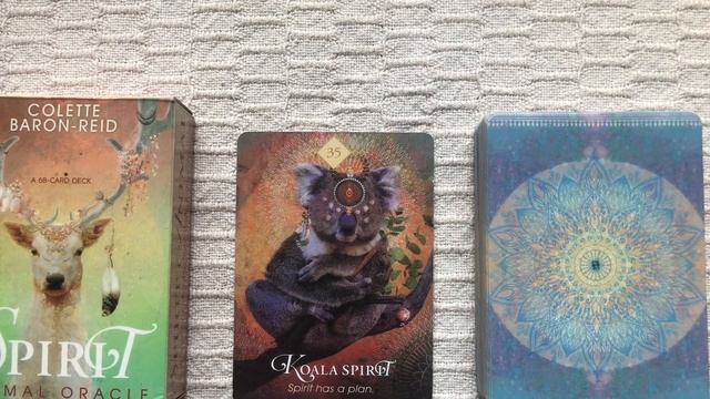 The Spirit Animal Oracle 35/68 Koala Spirit guide book audio description смотреть онлайн