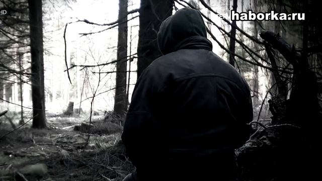 Черные копатели в Германии