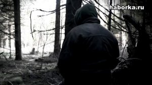 Черные копатели в Германии