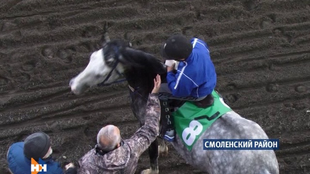 Наши новости 22.10.14 (16+) утренний выпуск смотреть онлайн