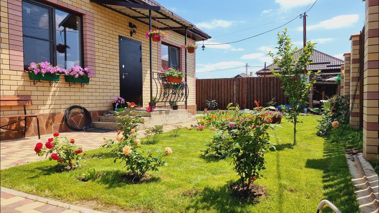 Мое летнее утро. Как правильно поливать петунии. смотреть онлайн