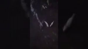 Зарыбление Беларусь Ивацевичи