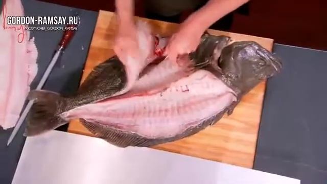 Гордан Рамзи паказывает как разделоват палтуса смотреть онлайн