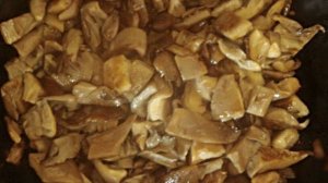 Гречневые котлеты с вешенками