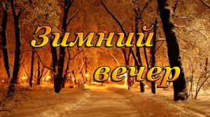 ЗИМНИЙ ВЕЧЕР | ЗИМНИЙ ПАРК