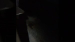 Sony TA-F555ESA ,январь 2023