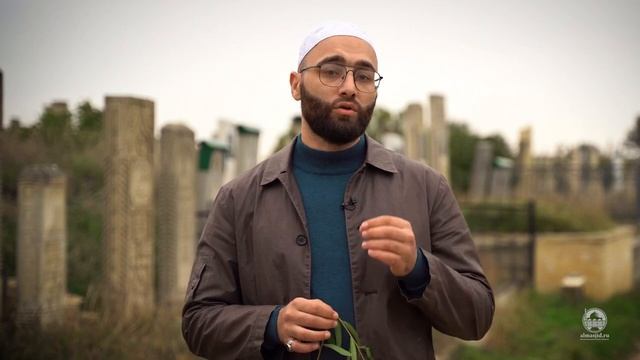 Помоги ему смотреть онлайн