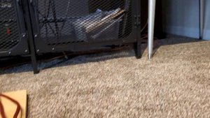 Conrad-Johnson PV-11 Preamplifier & MV-125 Power amplifier on custom speakers.