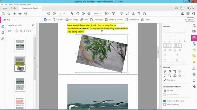 How to Delete Images from a PDF Document using adobe acrobat pro dc смотреть онлайн
