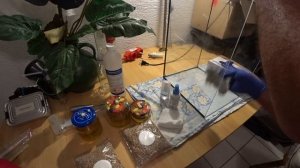 ✔️ГРИБЫ ЗИМОЙ 2021 КАК ВЫРАСТИТЬ ВЕШЕНКУ ЗИМОЙ? ЖИДКИЙ МИЦЕЛИЙ ВЕШЕНКИ! РАЗМНОЖЕНИЕ!