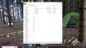How to Install and Setup Genesis Plus GX (Play Sega Games on Wii for free 2022)