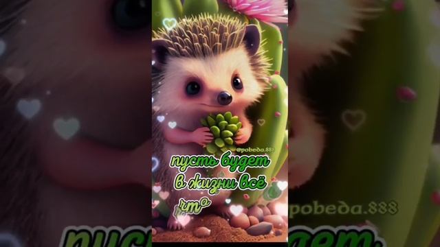 Видео открытка смотреть онлайн