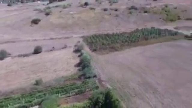 Продается с/х бизнес в Болгарии смотреть онлайн