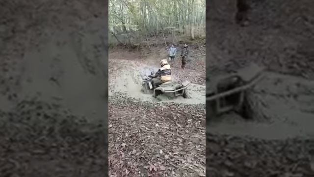 Гепард 800 арктик кэт 1000 смотреть онлайн