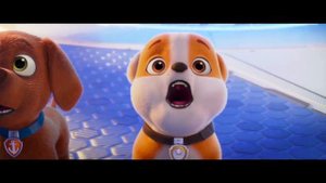 Щенячий патруль против сиреноголового. Paw patrol VS sirenhead