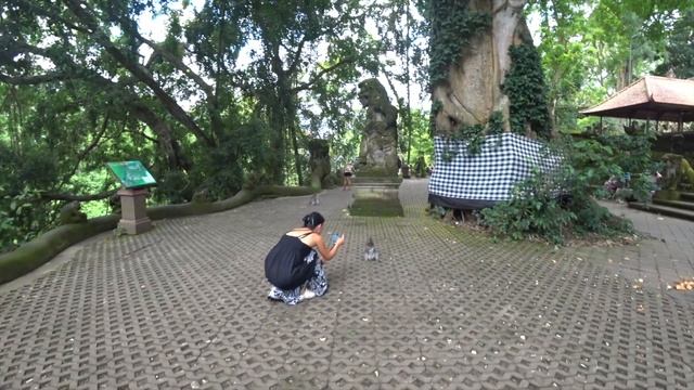 БАЛИ , УБУД ? ￼Отель в джунглях и Лес обезьян. Отдых на Бали BALI VLOG #5