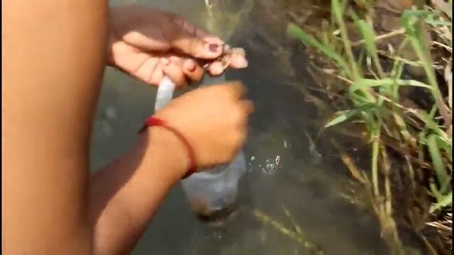 Красивая Рыбалка Рыбалка Удивительная Рыбалка Как Поймать Рыбу Вручную Part122 mp4 смотреть онлайн