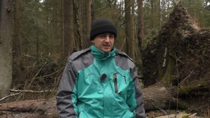 Спасательные свистки. Тест 13 шт.