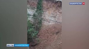 "Лес ушел под землю": в Балтачевском районе Башкирии очевидцы засняли эпичный провал земли