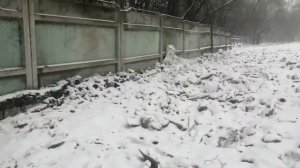 Нашли с Димой редкий колпак!! Как у колпаки рус