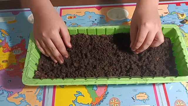 КАК ПОСАДИТЬ ТЫКВУ? смотреть онлайн