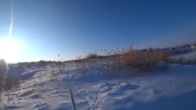 Охота на зайца русака. Сезон 2022-2023 №161 смотреть онлайн