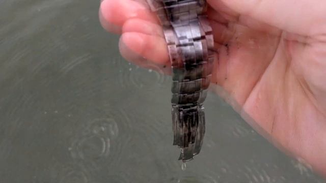 #deus#вода#деньги#Золотое колечко со дна пруда смотреть онлайн