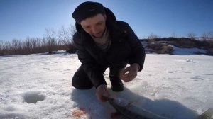 Зимняя рыбалка вТомской области,ловля судака на рекеТомь