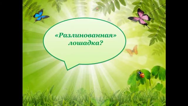 Викторина "Дикие животные"