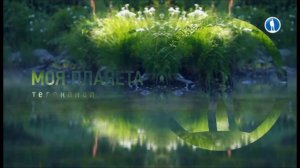 Все заставки "Моя планета" часть 5 (2019-2020)