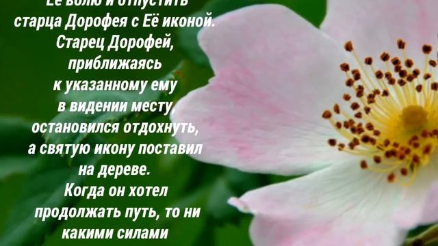 Икона Богородицы « Одигитрия » Югская! - ПРАЗДНОВАНИЕ: 16 июня и 10 августа.