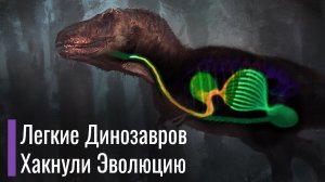 Как Дыхание Динозавров хакнуло Эволюцию