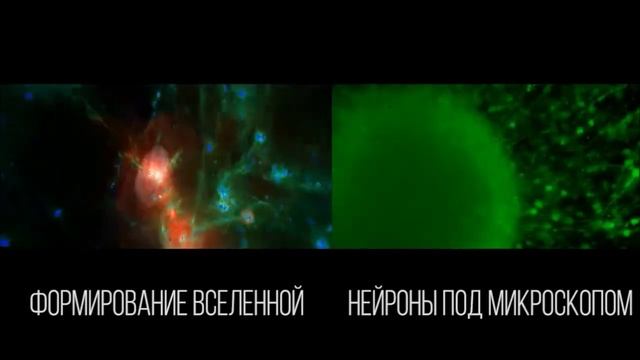 СИСТЕМОЛОГИЯ