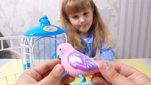 Открываем игрушку Птичку Tweet Talking Birds Little live pets