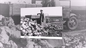 СХОС КарЛага в годы ВОВ