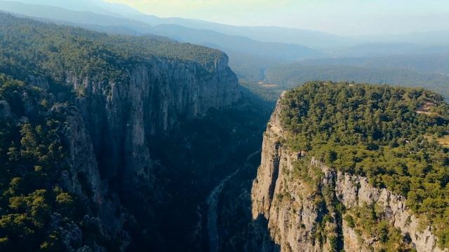 Тёща с зятем, решили быть больше чем просто… смотреть онлайн