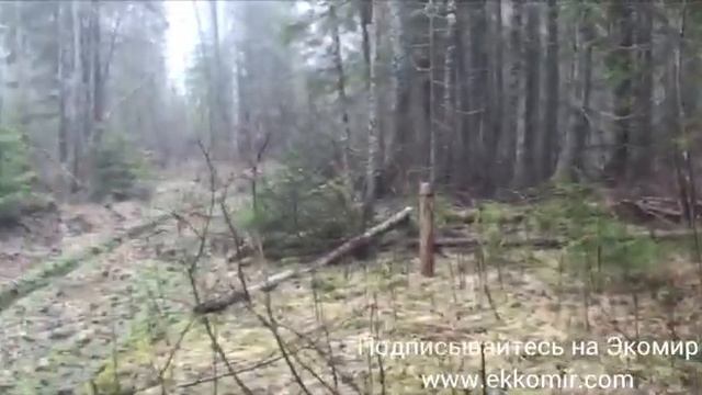 Отличная работа гончих по зайцу смотреть онлайн