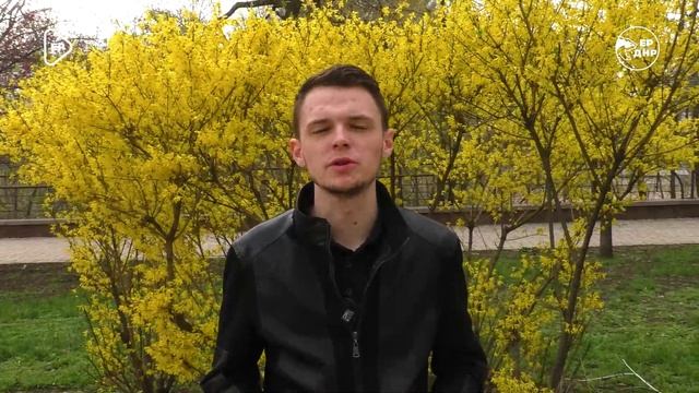 Поддержи нашего кандидата в Молодежный парламент ДНР - Никиту Логинова