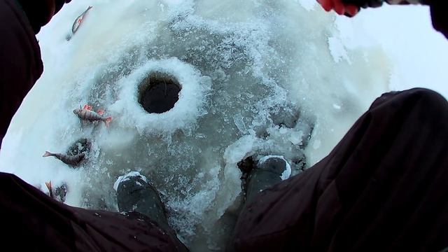 Открытие сезона зимней рыбалки 2017-2018 смотреть онлайн