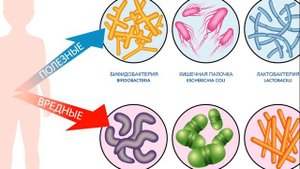ЗДОРОВЫЙ КИШЕЧНИК - ЗДОРОВЫЙ ОРГАНИЗМ | Как помочь кишечнику быть здоровым